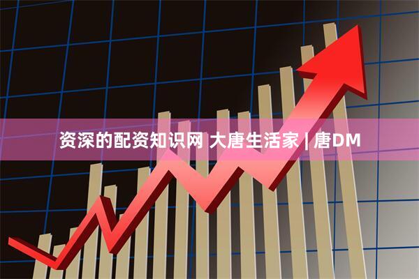 资深的配资知识网 大唐生活家 | 唐DM