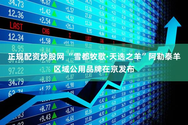 正规配资炒股网 “雪都牧歌·天选之羊”阿勒泰羊区域公用品牌在京发布
