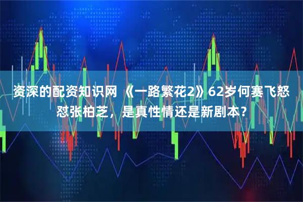 资深的配资知识网 《一路繁花2》62岁何赛飞怒怼张柏芝，是真性情还是新剧本？