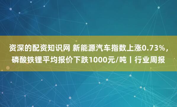 资深的配资知识网 新能源汽车指数上涨0.73%，磷酸铁锂平均报价下跌1000元/吨丨行业周报